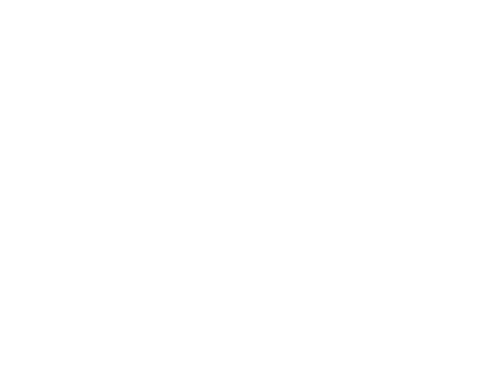 LIT International